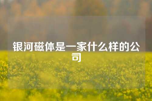 银河磁体是一家什么样的公司