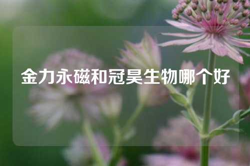 金力永磁和冠昊生物哪个好