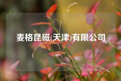 麦格昆磁(天津)有限公司