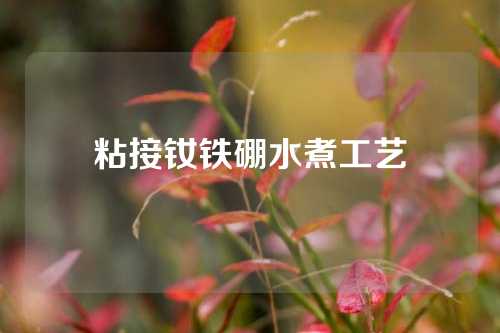 粘接钕铁硼水煮工艺