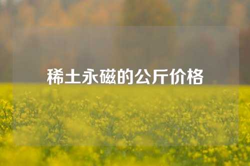 稀土永磁的公斤价格