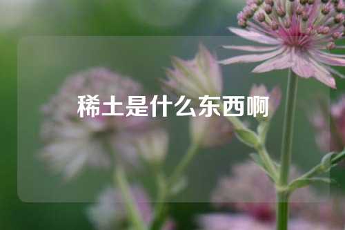 稀土是什么东西啊