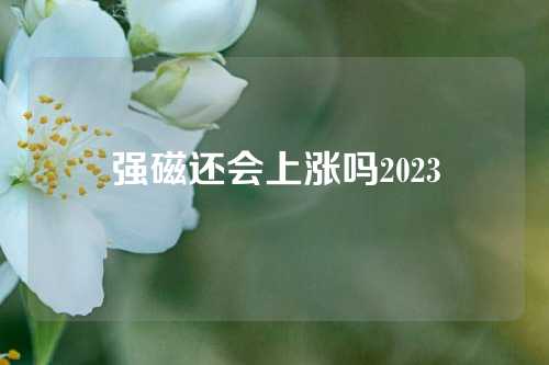 强磁还会上涨吗2023