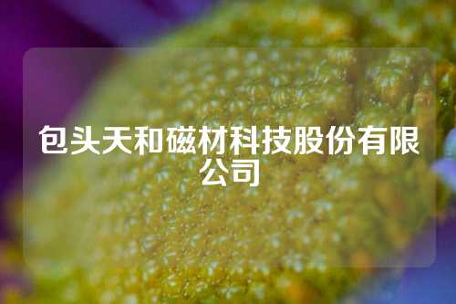 包头天和磁材科技股份有限公司