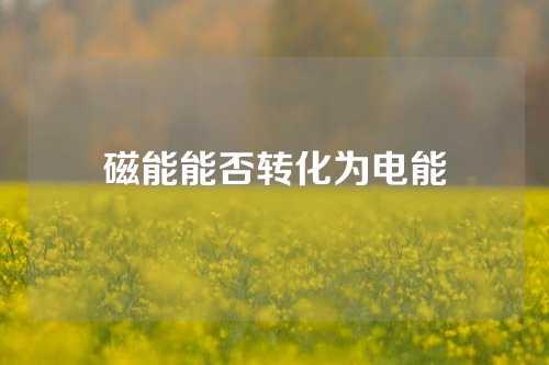 磁能能否转化为电能