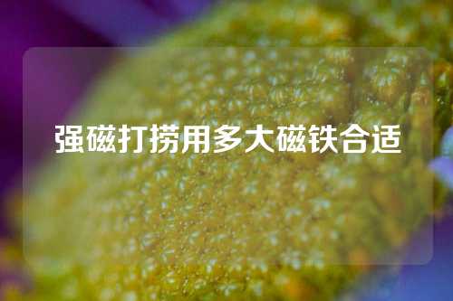 强磁打捞用多大磁铁合适