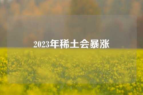 2023年稀土会暴涨