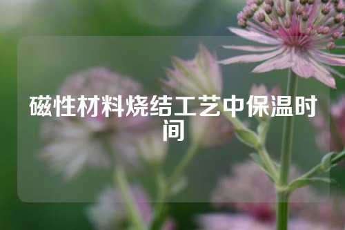 磁性材料烧结工艺中保温时间