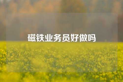 磁铁业务员好做吗