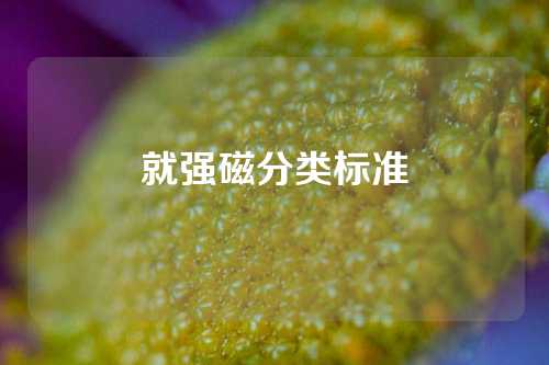 就强磁分类标准