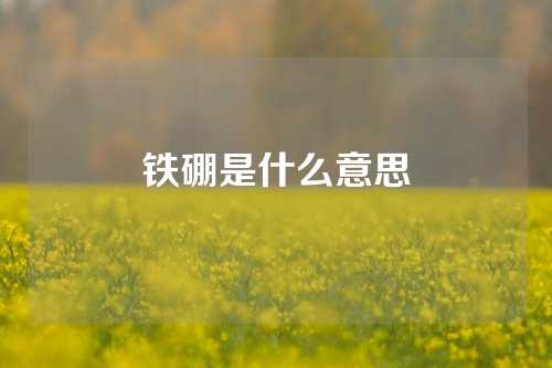 铁硼是什么意思