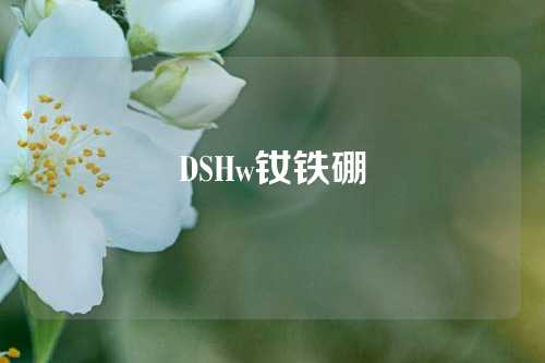 DSHw钕铁硼