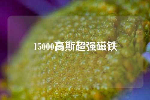 15000高斯超强磁铁