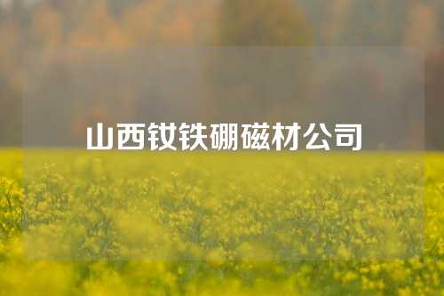 山西钕铁硼磁材公司