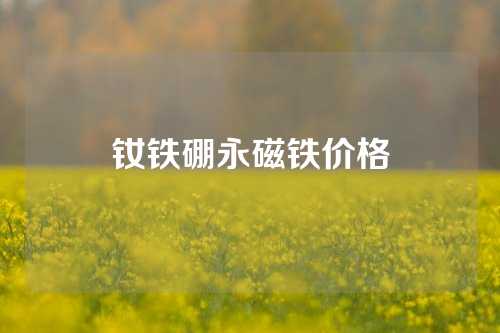 钕铁硼永磁铁价格