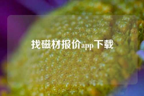 找磁材报价app下载