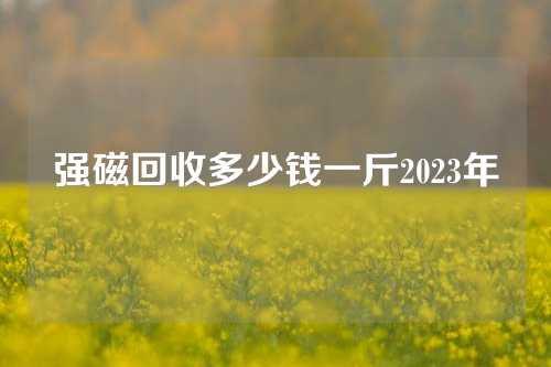 强磁回收多少钱一斤2023年