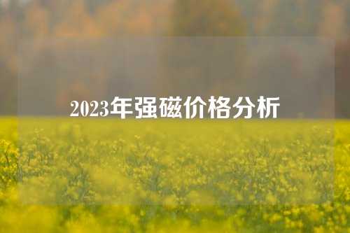 2023年强磁价格分析