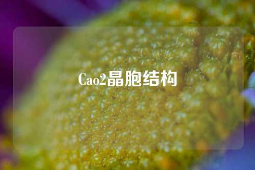 Cao2晶胞结构