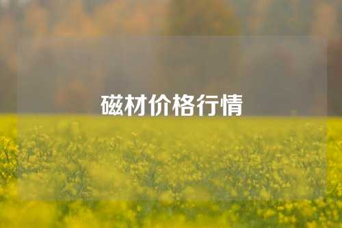 磁材价格行情