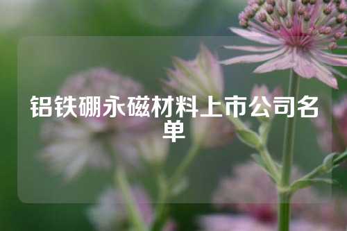 铝铁硼永磁材料上市公司名单