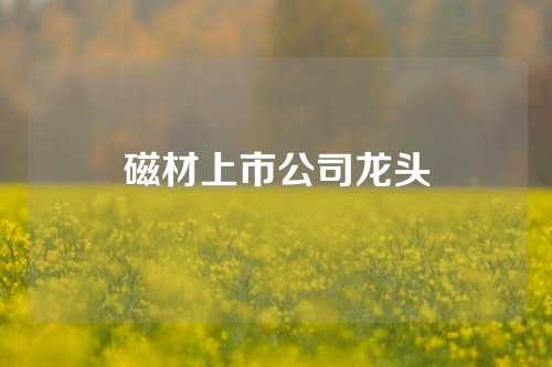 磁材上市公司龙头