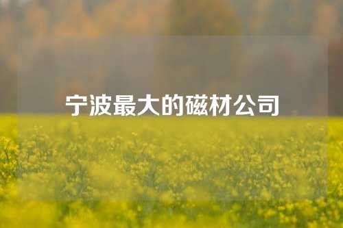 宁波最大的磁材公司