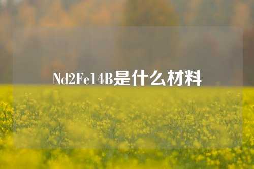 Nd2Fe14B是什么材料