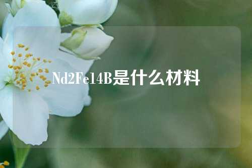 Nd2Fe14B是什么材料