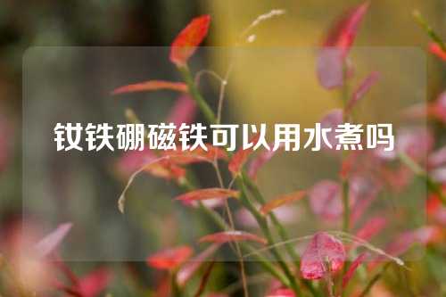 钕铁硼磁铁可以用水煮吗