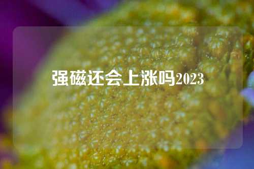 强磁还会上涨吗2023