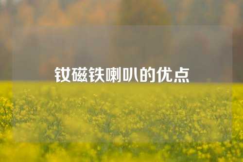 钕磁铁喇叭的优点