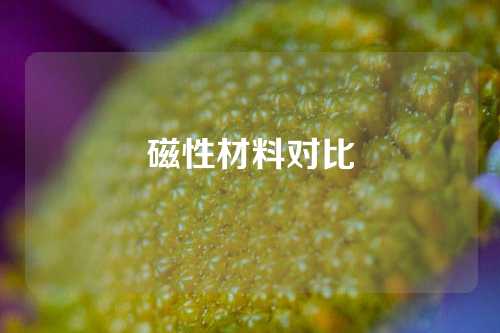 磁性材料对比