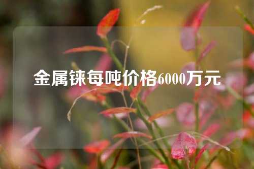 金属铼每吨价格6000万元