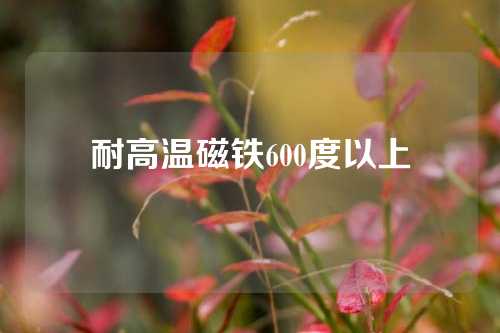 耐高温磁铁600度以上