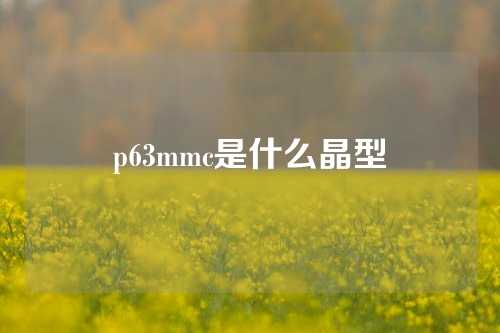 p63mmc是什么晶型