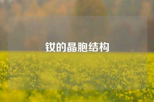 钕的晶胞结构