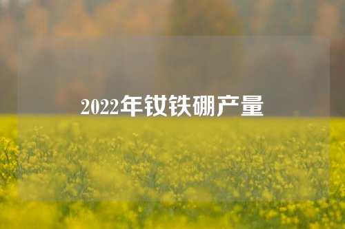 2022年钕铁硼产量