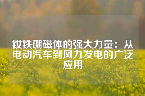 钕铁硼磁体的强大力量：从电动汽车到风力发电的广泛应用