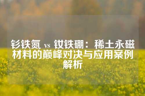 钐铁氮 vs 钕铁硼：稀土永磁材料的巅峰对决与应用案例解析