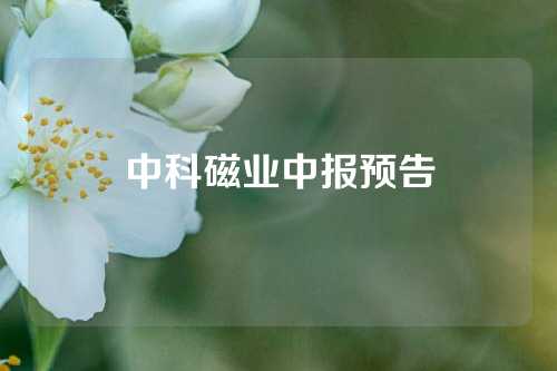 中科磁业中报预告