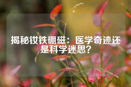 揭秘钕铁硼磁：医学奇迹还是科学迷思？