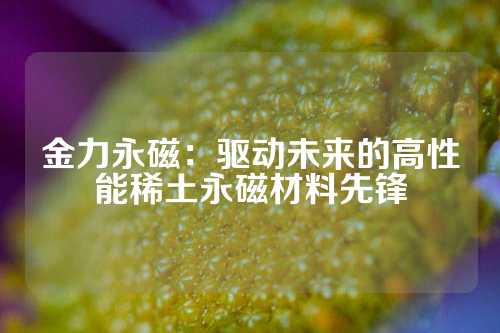 金力永磁：驱动未来的高性能稀土永磁材料先锋