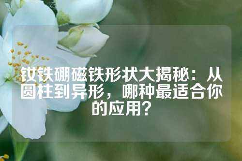 钕铁硼磁铁形状大揭秘：从圆柱到异形，哪种最适合你的应用？