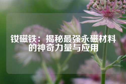 钕磁铁：揭秘最强永磁材料的神奇力量与应用