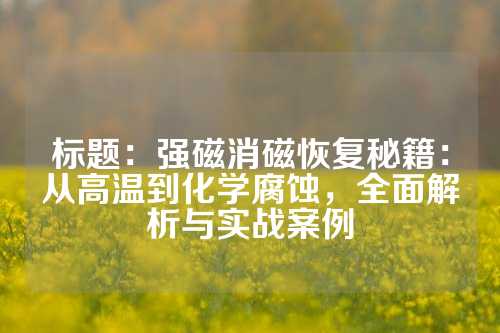 标题：强磁消磁恢复秘籍：从高温到化学腐蚀，全面解析与实战案例