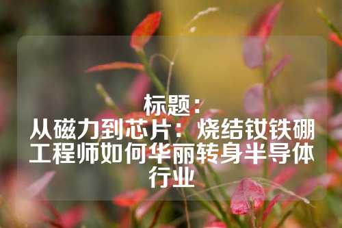 标题：
从磁力到芯片：烧结钕铁硼工程师如何华丽转身半导体行业