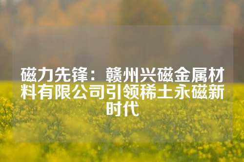 磁力先锋：赣州兴磁金属材料有限公司引领稀土永磁新时代