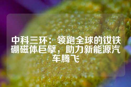 中科三环：领跑全球的钕铁硼磁体巨擘，助力新能源汽车腾飞