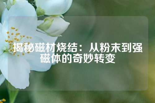 揭秘磁材烧结：从粉末到强磁体的奇妙转变